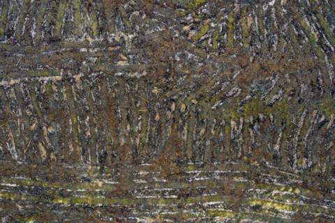 Aerial view over Swedish clearcut area