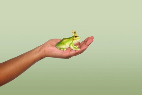Frog Prince