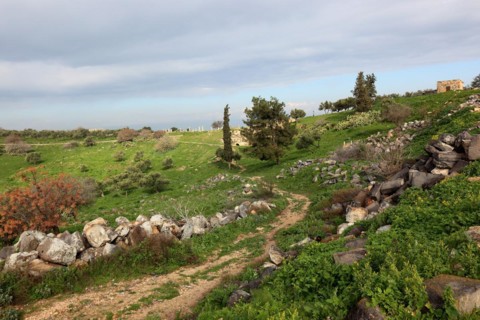 Gadara