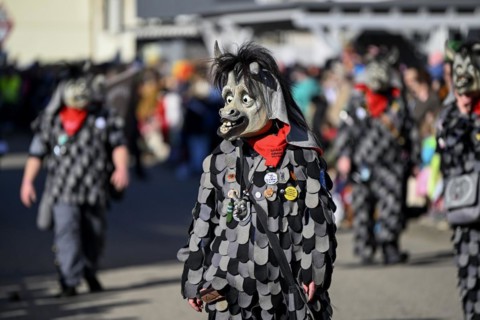 Fools Guild Keltereck-Esel from Wilferdingen at the Great Carnival Parade