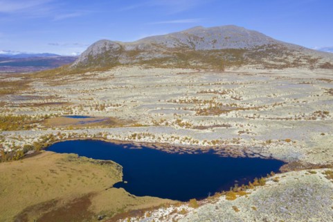Aerial view over pond and the Norwegian tundra covered in reindeer lichen