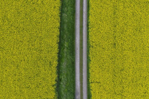 Aerial view over farmland with dirt road