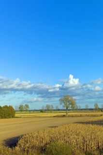 Autumn atmosphere in the dyke foreland