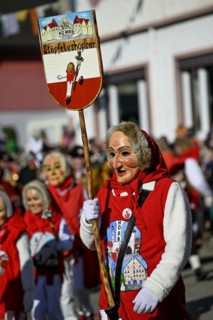Narrenzunft Staepfeleshopser from Horb at the Great Fasnetsumzug