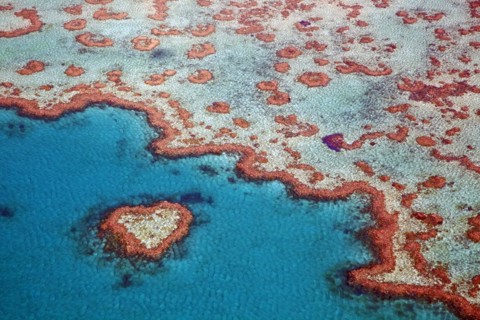 Aerial view of heart-shaped Heart Reef