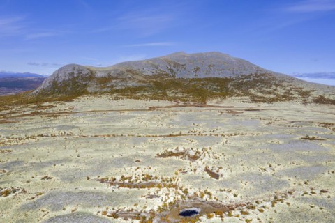 Aerial view over the Norwegian tundra covered in reindeer lichen