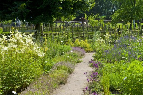 Farmers garden in the open-air museum Klockenhagen