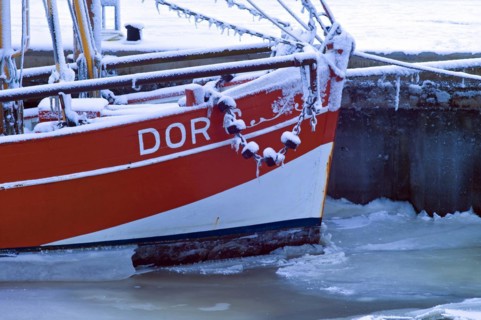 Bow of a crab cutter in the harbour of Dorum Neufeld