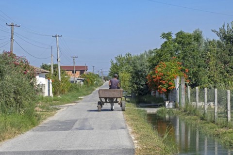 Albanian man riding cart pulled by donkey in rural village in northern Albania in summer