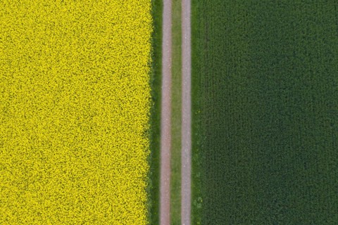 Aerial view over farmland with dirt road