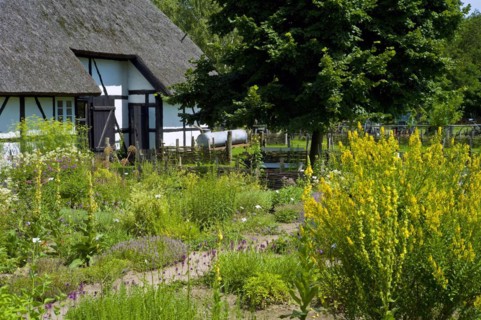 Farmers garden