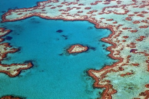 Aerial view of heart-shaped Heart Reef