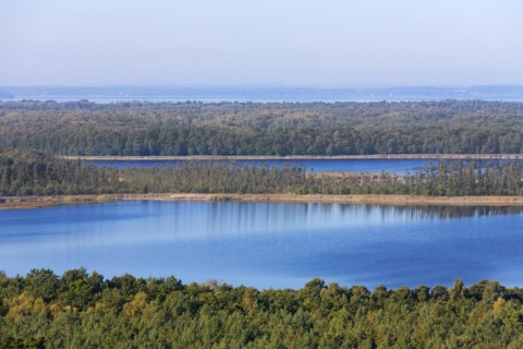 View over Priesterbaeker See