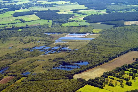 The Koenigsmoor near Hagen in the district of Cuxhaven