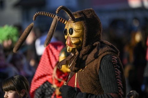Fools Guild Umbeisen and Witches from Ohlsbach at the Great Carnival Parade