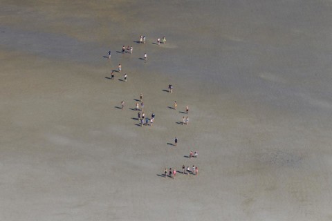 Aerial view over group of tourists walking with guide during guided tour on mudflat