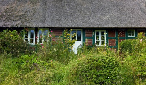 Unmaintained front garden of a Lower Saxony farmhouse