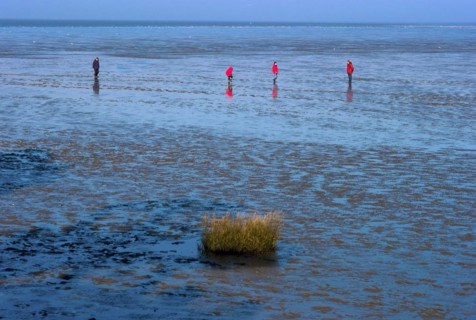 People in the Wadden Sea near Dorum Neufeld in the district of Cuxhaven