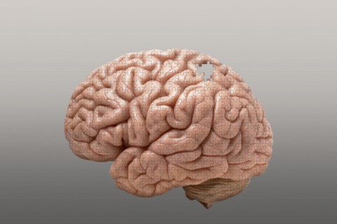 Alzheimers disease
