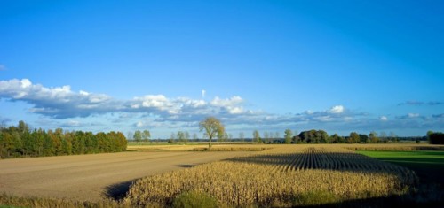 Autumn atmosphere in the dyke foreland