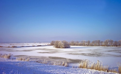 Winter dyke foreland near Neuenkirchen