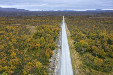 Aerial view over empty desolate road running through the taiga in autumn