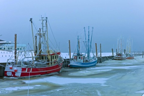 Flooded cutter harbour of Dorum Neufeld
