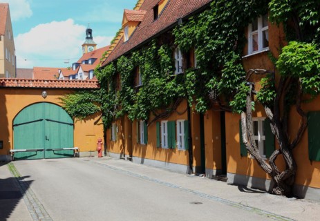 House facade with tree in front