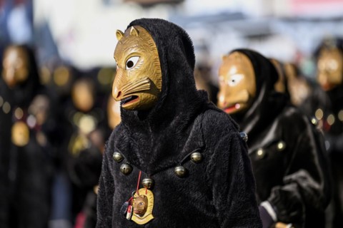 Fools Guild Biberach at the Great Carnival Parade