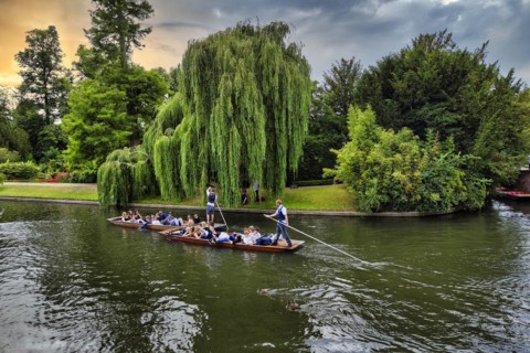 Punting