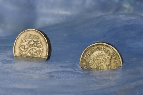 Frozen pound