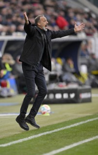 Coach Pellegrino Matarazzo TSG 1899 Hoffenheim