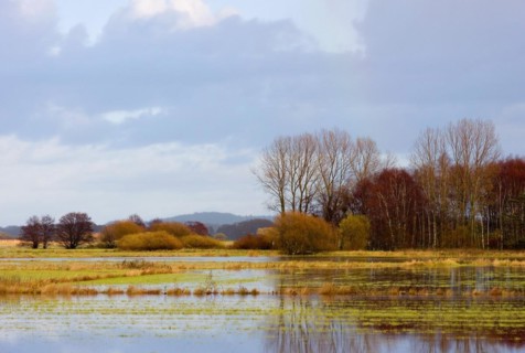 Hammewiesen near Osterholz Scharmbeck