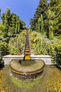 Flower Island Mainau with flowers and exotic plants