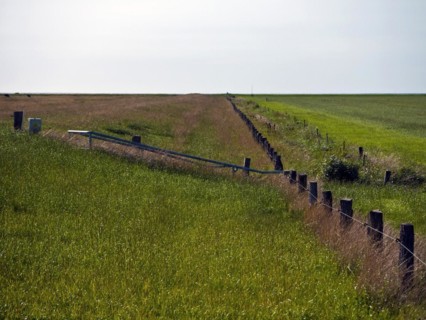 Land reclamation near Dorum