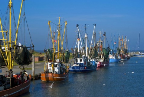Crab cutter in the harbour of Dorum Neufeld in the district of Cuxhaven