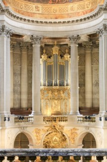 Organ