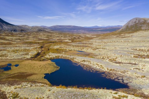 Aerial view over pond and the Norwegian tundra covered in reindeer lichen