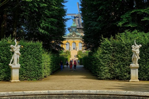 Avenue of trees with visual axis to the north from the main avenue to the New Chambers with the windmill in the background