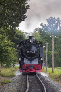 Rasender Roland steam locomotive 99 1784 on the Ruegen narrow-gauge railway