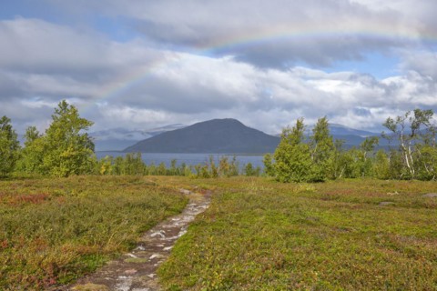 Rainbow in Abisko National Park