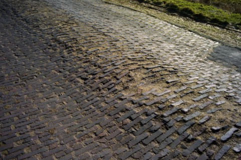 Old road in the Teufelsmoor near Worpswede