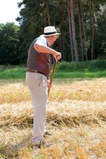 Farmer in the field turning straw