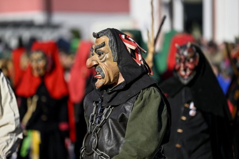 Fools Guild from Horb am Neckar at the Great Carnival Parade