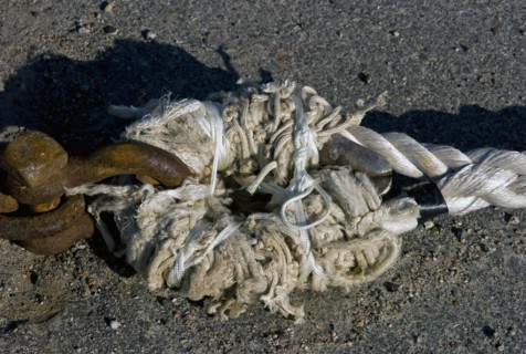 Rope of a crab cutter in the harbour of Dorum Neufeld in the district of Cuxhaven