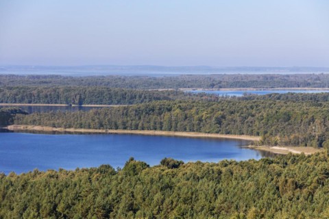 View over Priesterbaeker See
