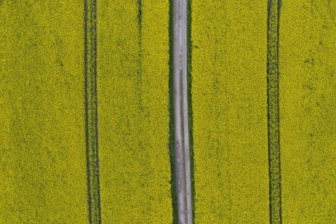 Aerial view over farmland with dirt road