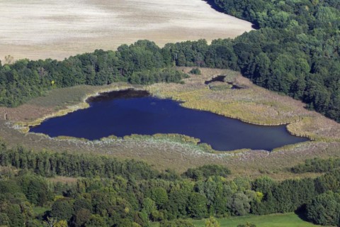 Aerial view over Binnenmueritz