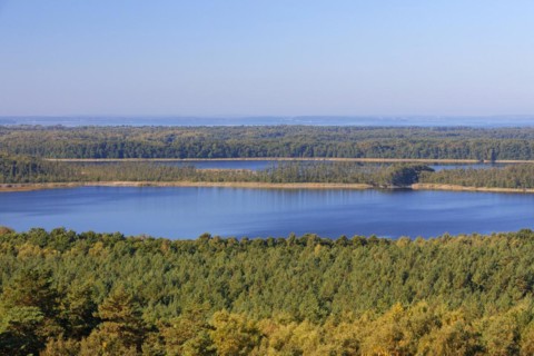 View over Priesterbaeker See