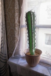 Plastic cactus on a windowsill